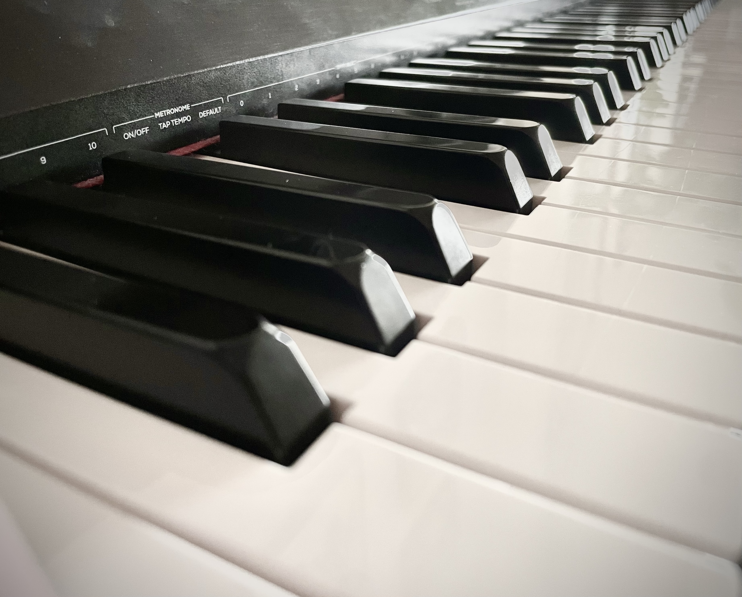 all instrumental tracks came from one digital keyboard while we were engaged (2001)